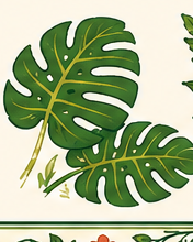 Monstera deliciosa